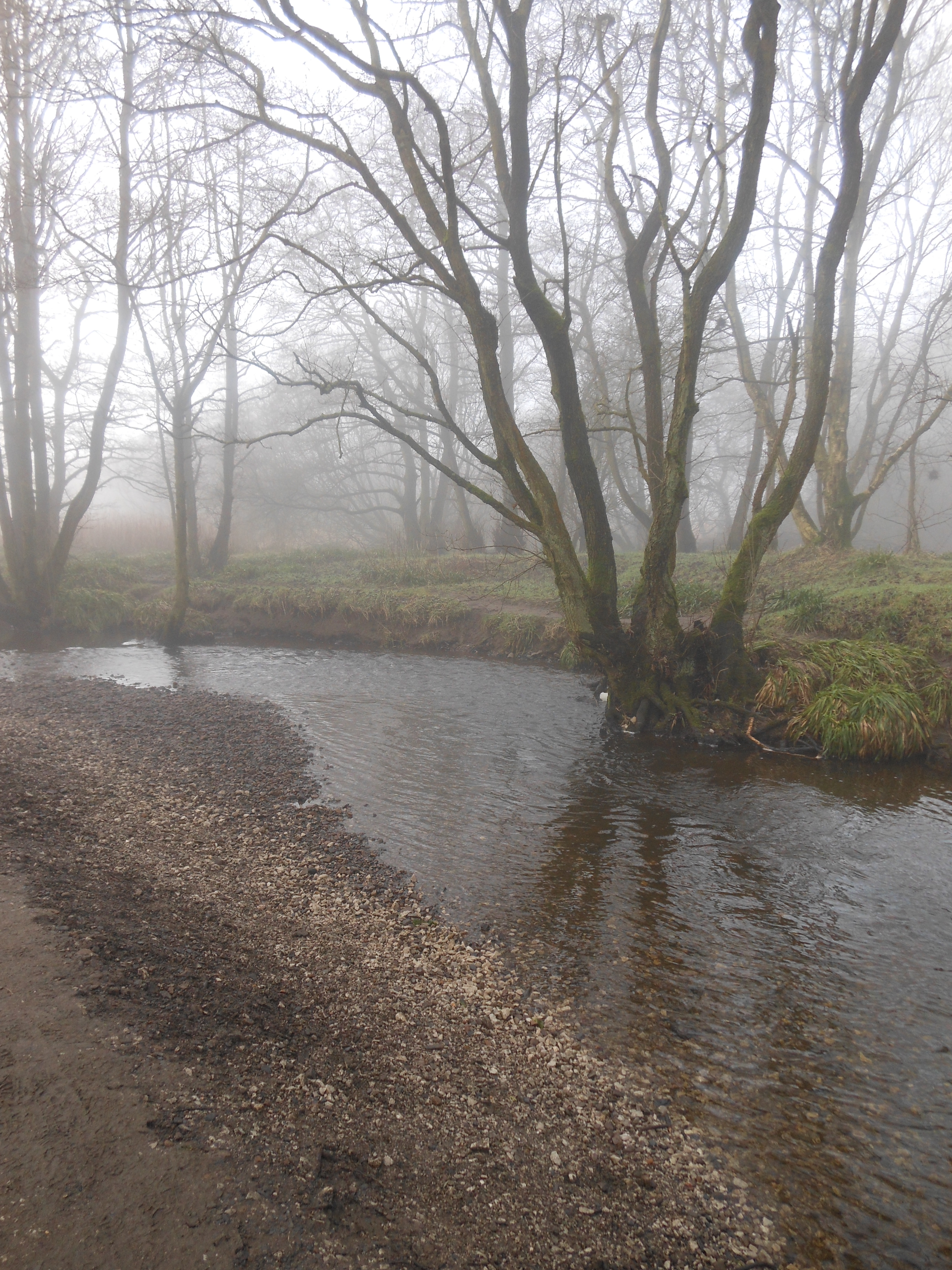 Well Dressings Bakewell